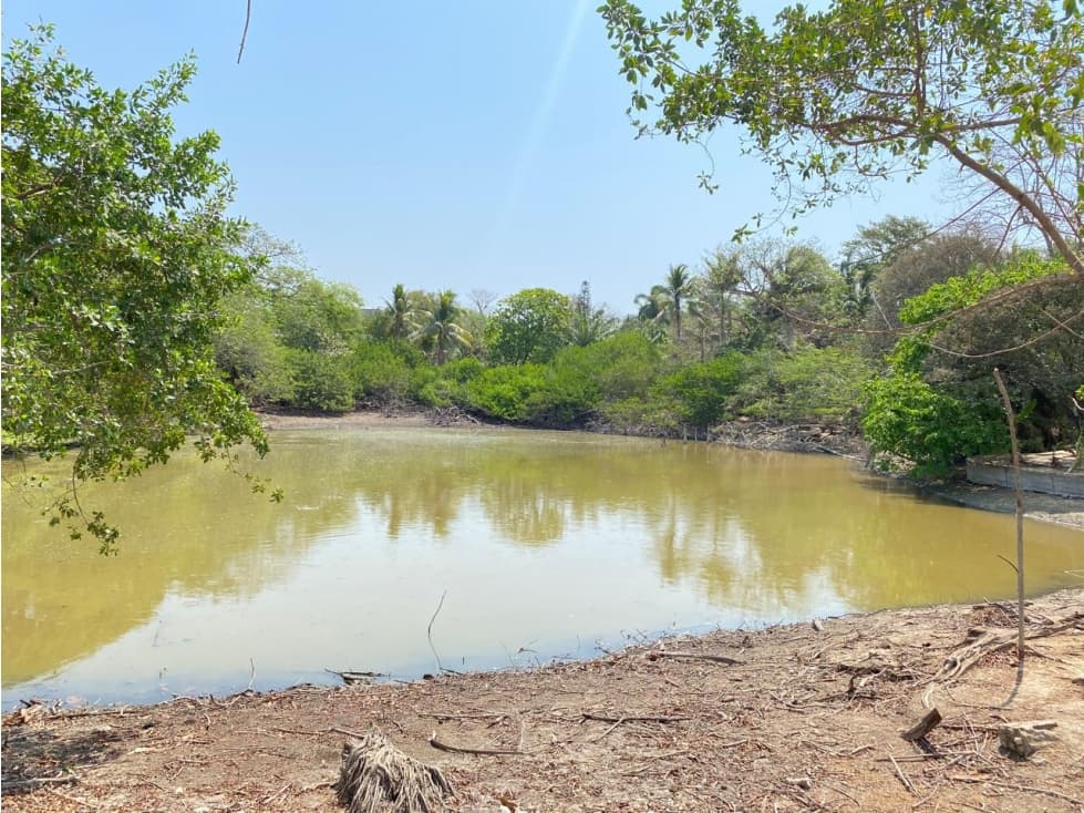 FINCA EN VENTA DE 2 HECTAREAS ÁREA URBANA ENTRE LOS ALPES-13 DE JUNIO - 1