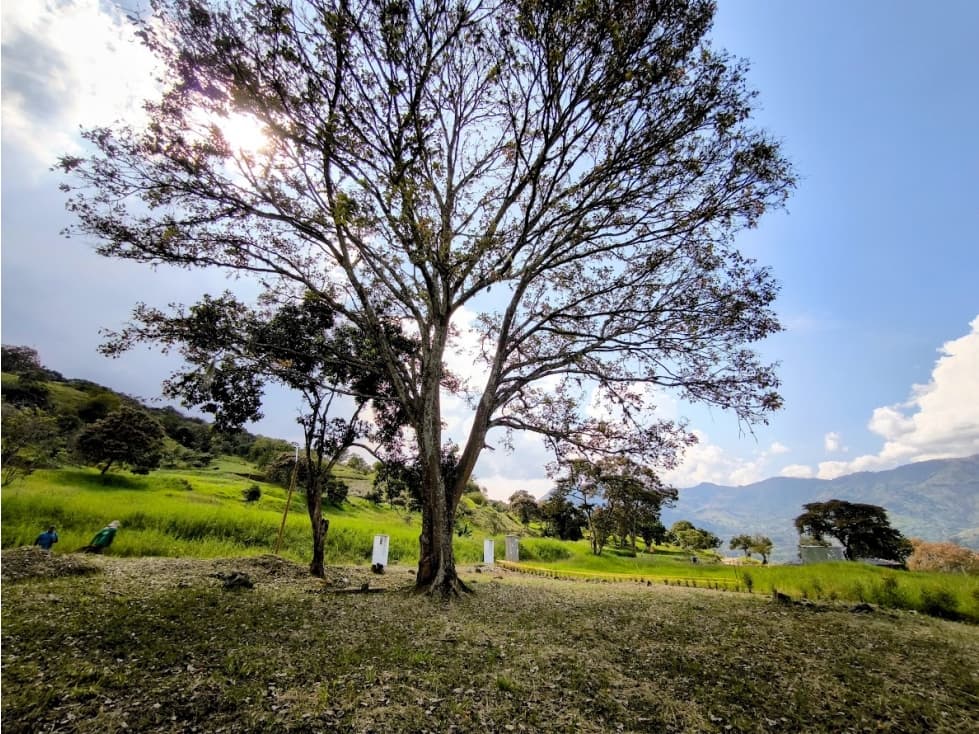VENTA DE LOTES EN PARCELACIÓN VEREDA EL TOTUMO GIRARDOTA - 1