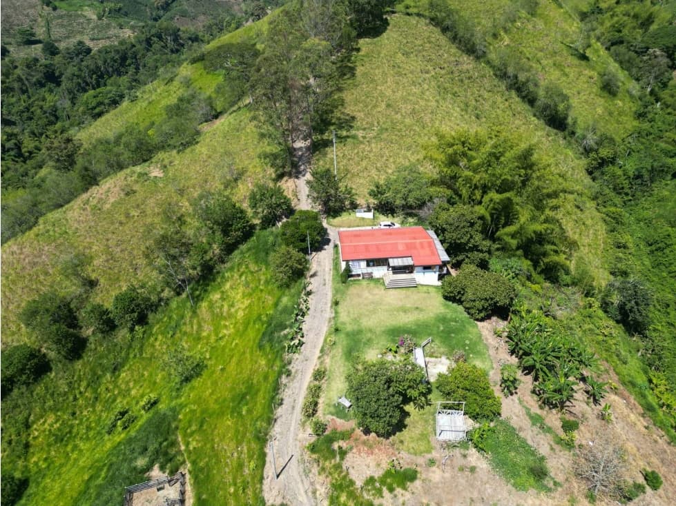 Finca en Venta en Balboa - La Quiebra - 1