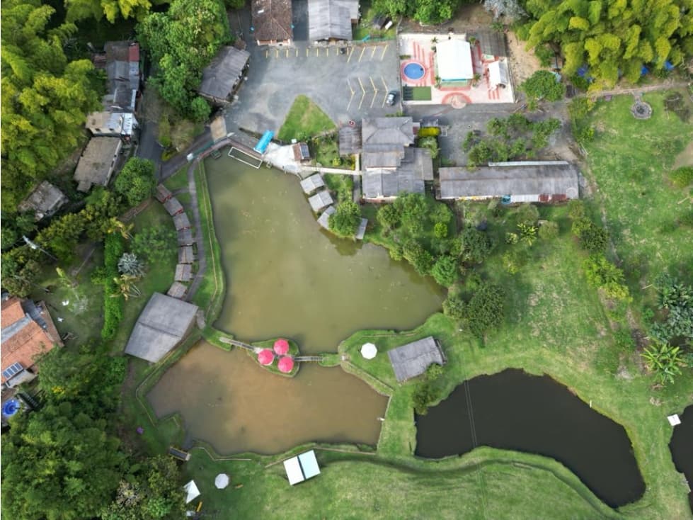 Local en Renta en Santa Rosa de Cabal - Guacas - 1