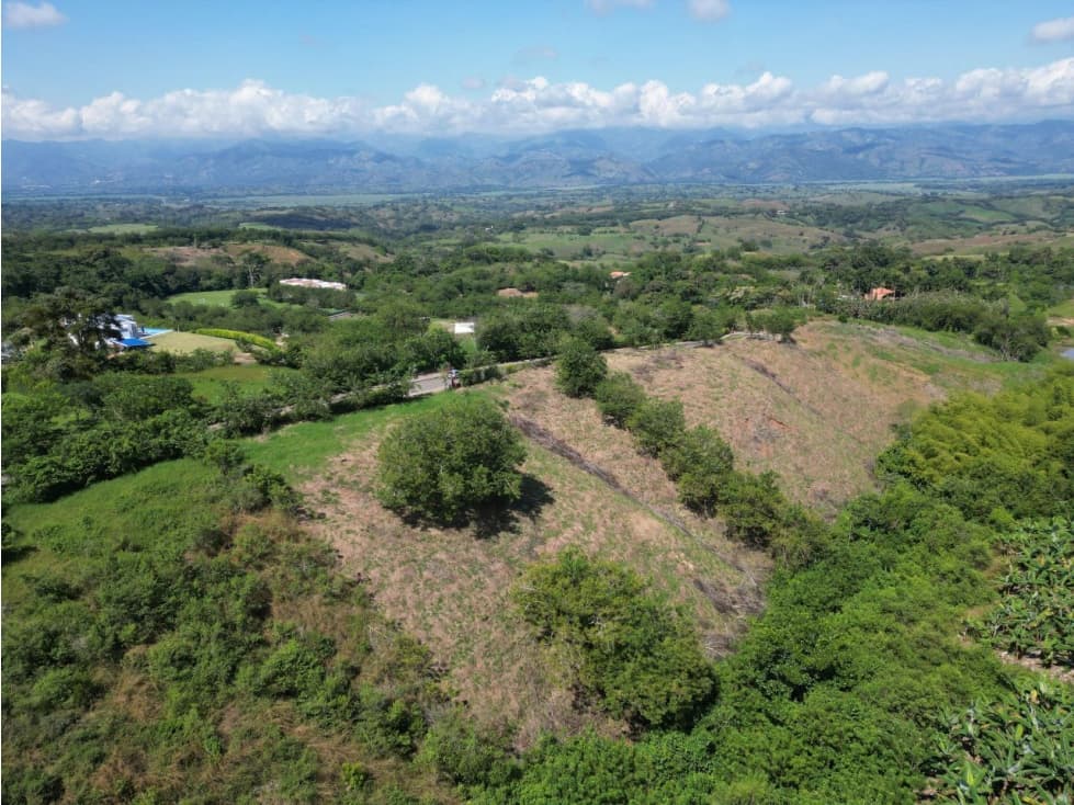 Lote en Venta en Pereira - Vía Cerritos - La Virginia - 1