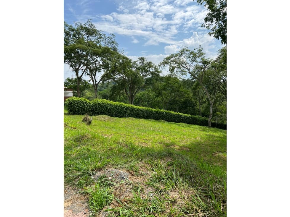 VENTA LOTE KM 41 PALESTINA | LOTE BARATO EN VENTA - 1