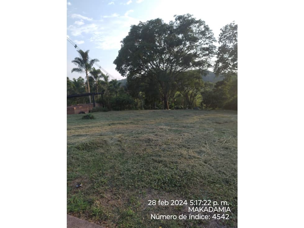 VENTA LOTE CONJUNTO CERRADO KM 41 PALESTINA | LOTE 1500 m² - 1