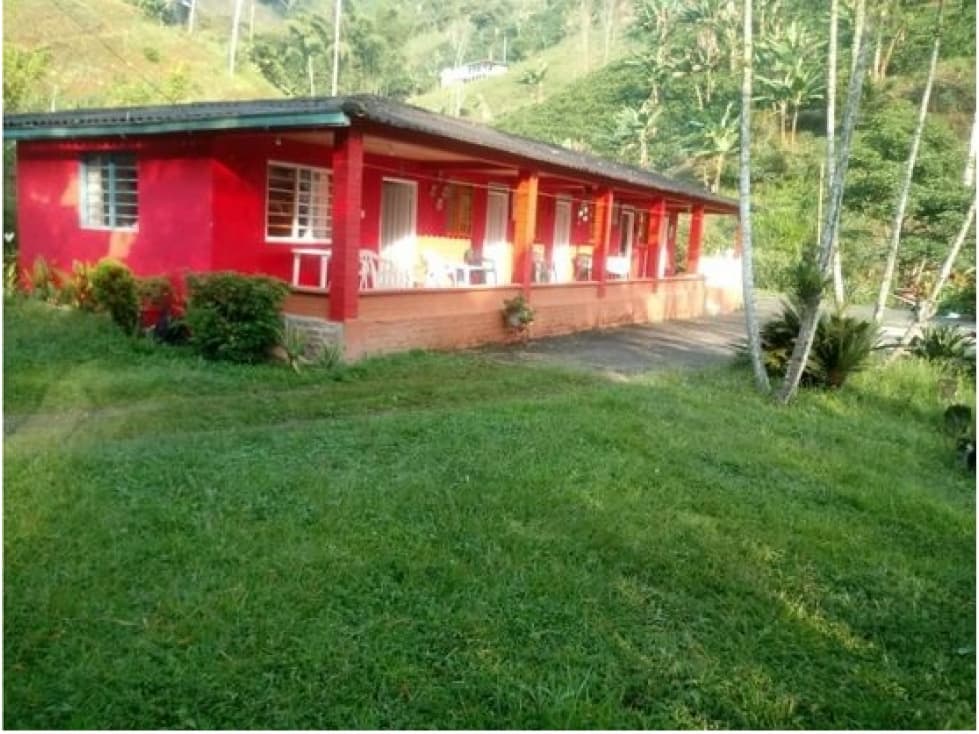 VENTA FINCA EN CHINCHINA, CALDAS - 1