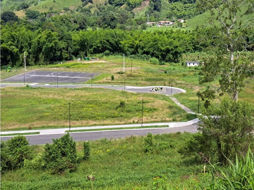 VENTA LOTE EL ROSARIO CHINCHINÁ | LOTES CAMPESTRES - 1