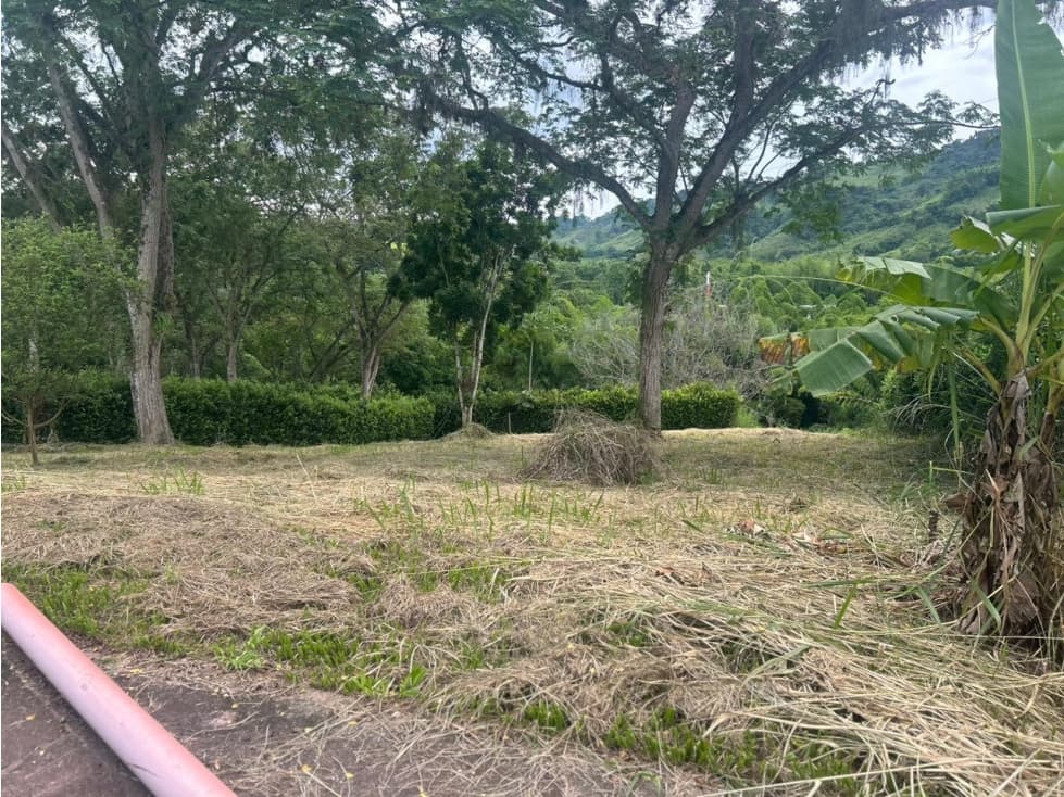 VENTA LOTE PARA CASA CAMPESTRE Km 41 PALESTINA | LOTE EN VENTA - 1