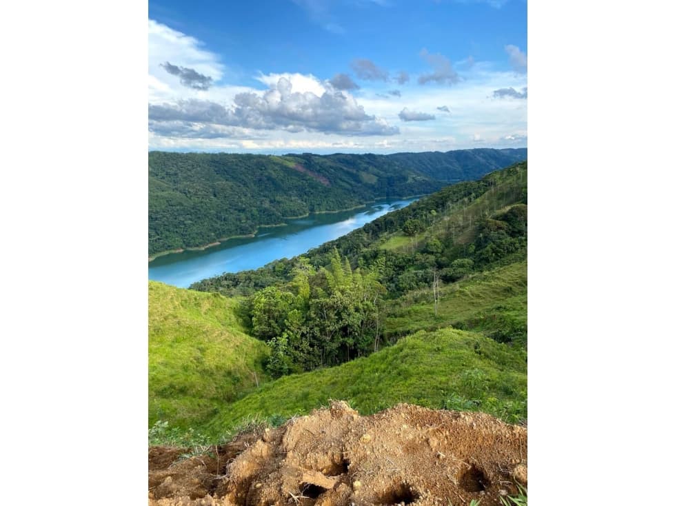 VENTA LOTE EN NORCASIA, CALDAS 10.000m² | LOTES EN VENTA EN NORCASIA - 1