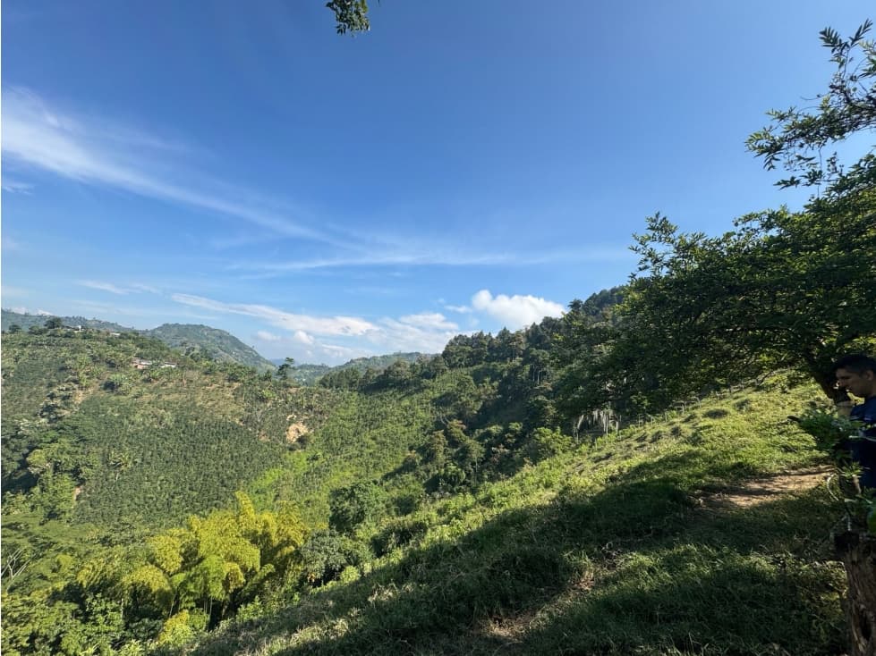 LOTE EN VENTA EN VEREDA LA AURORA MANIZALES | VENTA TERRENO - 1