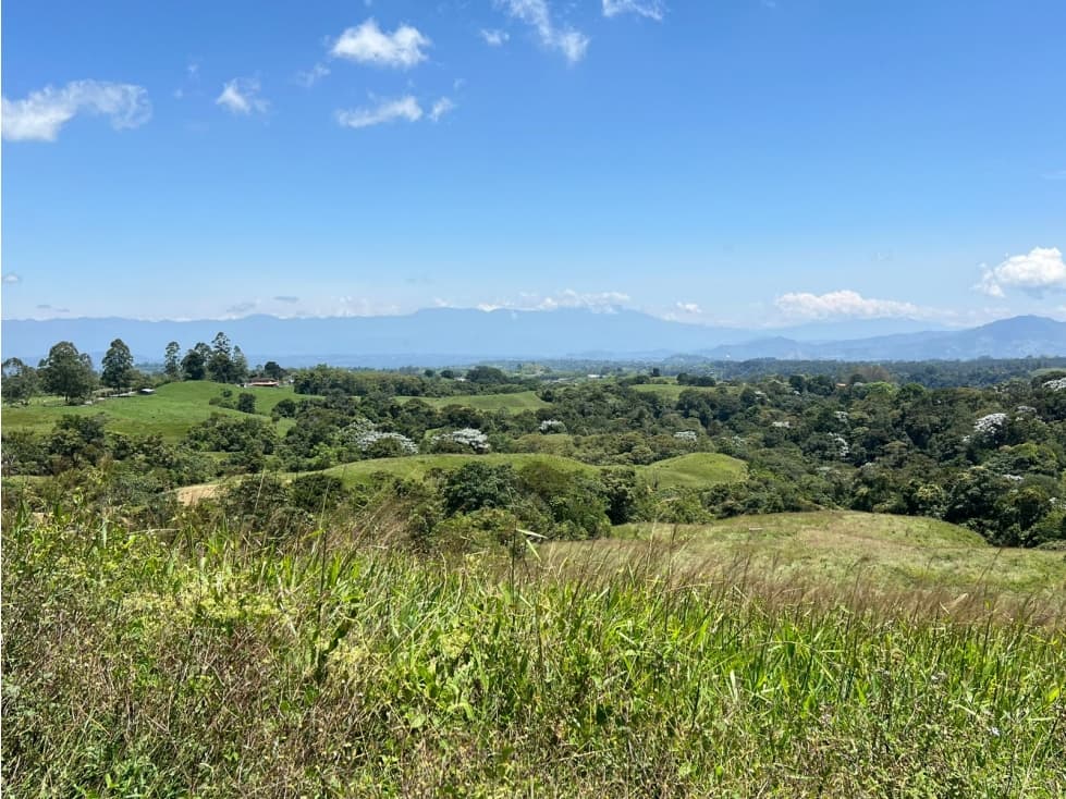 Se Vende Lote para Urbanizar, Filandia, Quindío - 1