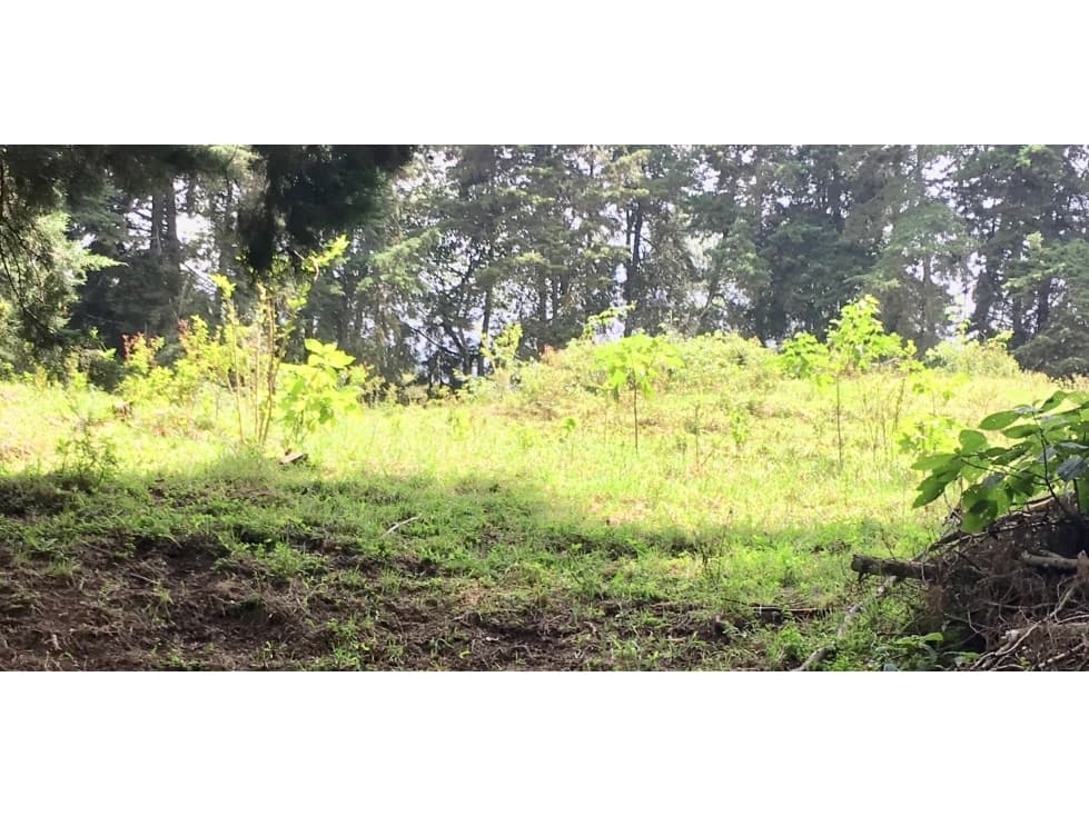 Finca San Francisco cundinamarca - 1