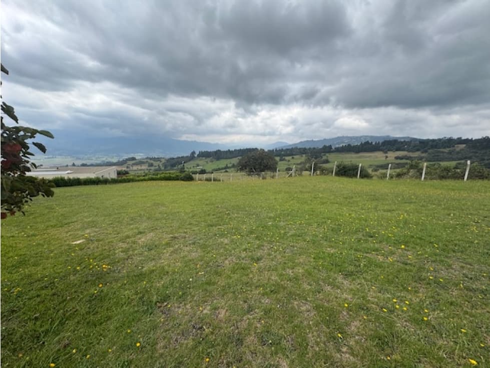 Vendo lote en Yerbabuena Chia Montevioleta - 1