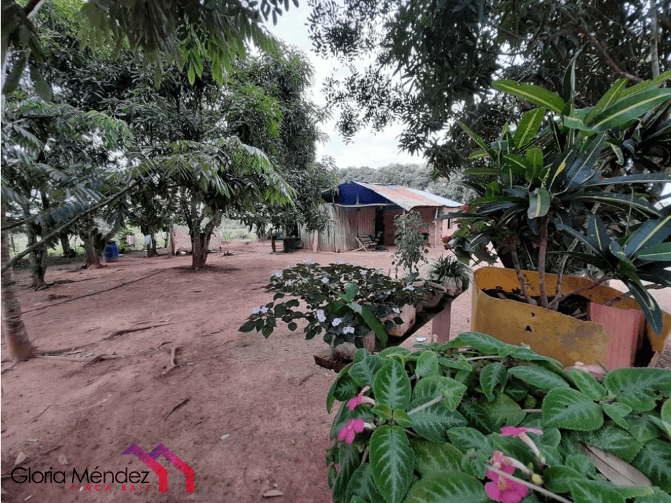 Finca en Puerto Lopez para Venta o Permuta - 1