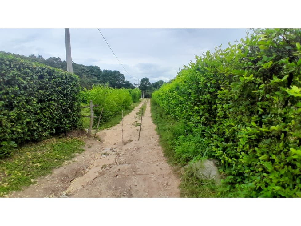 Lote en Venta - Riverita, Huila - 1