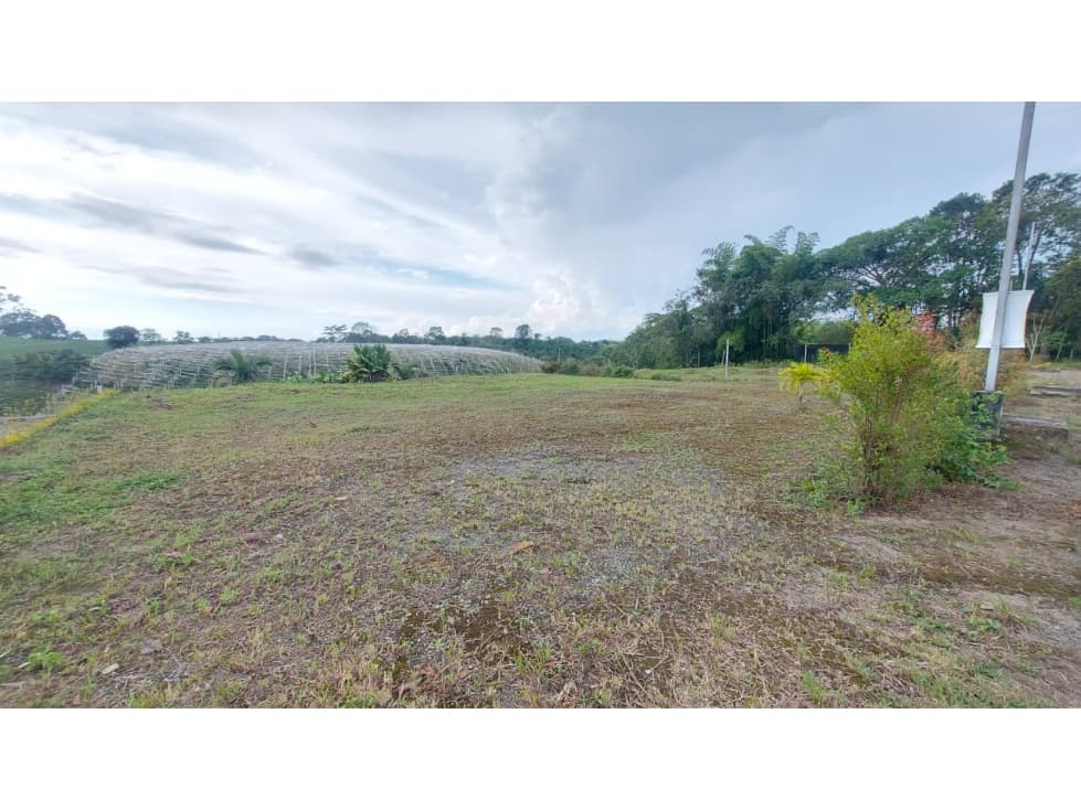 LOTE EN VENTA, CONDOMINIO EN CALARCA - 1