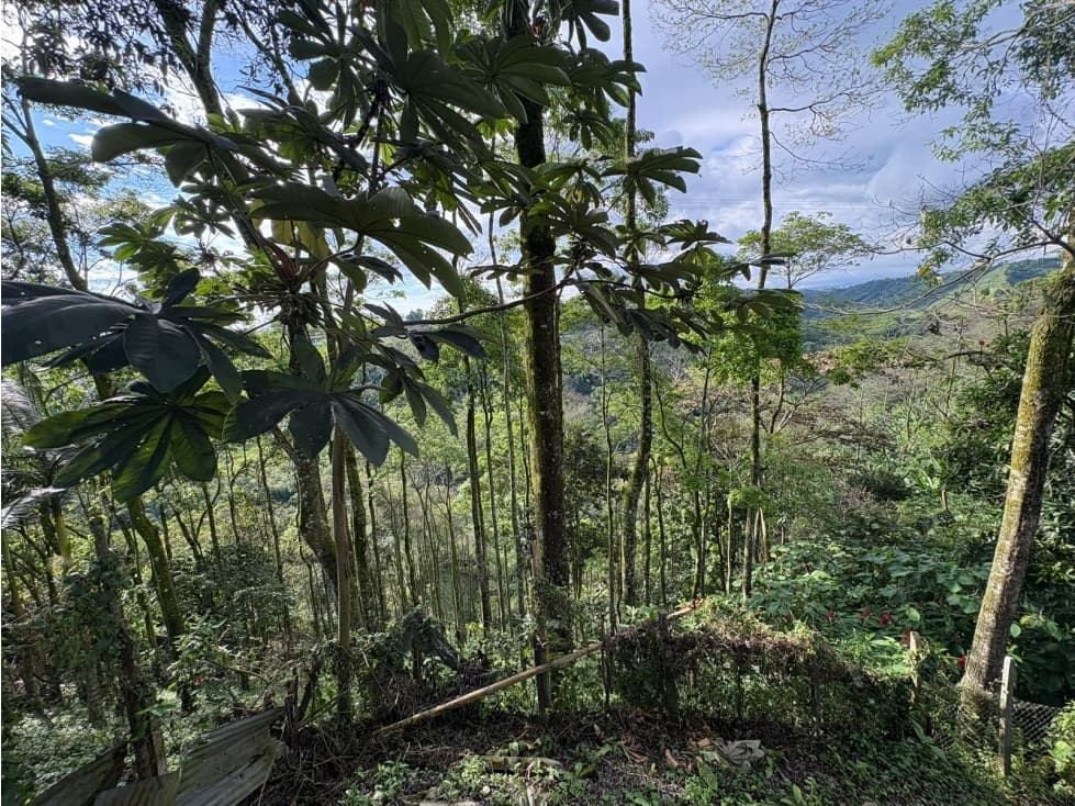 VENTA DE FINCA VIA LA BELLA - 1