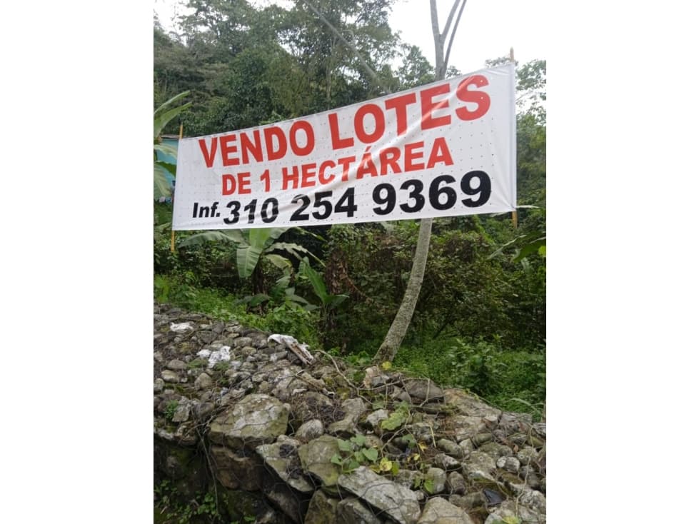 LOTE EN MESITAS DEL COLEGIO DE UNA HECTAREA - 1