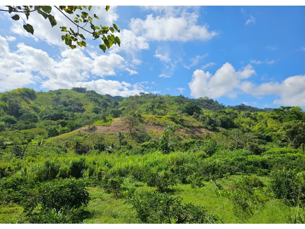 Lote en venta - Cambia - Risaralda - 1