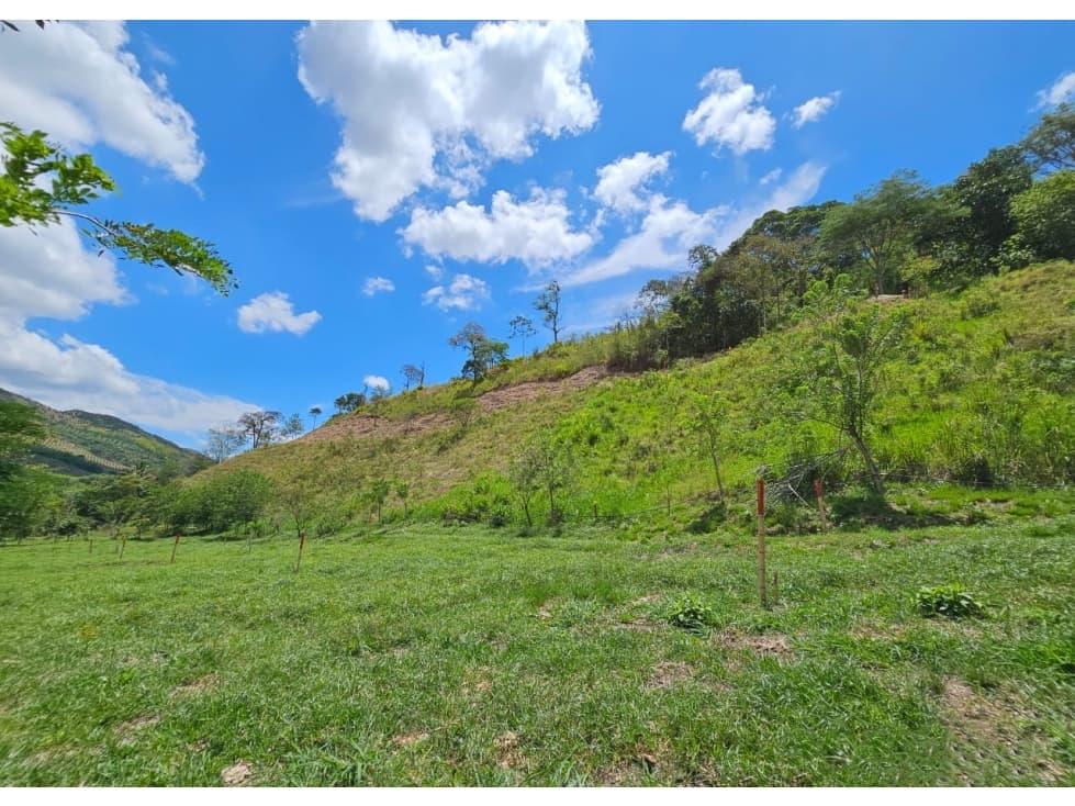 Lote en venta - Cambia - Risaralda - 1