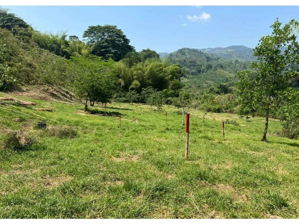Lote en venta - Cambia - Risaralda - 1