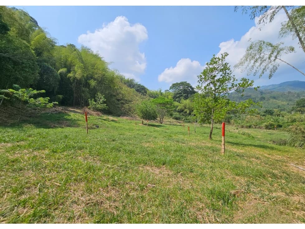 Lote en venta - Cambia - Risaralda - 1
