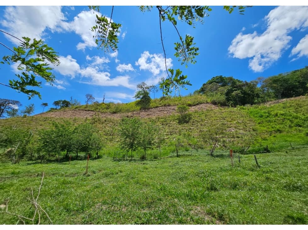 Lote en venta - Cambia - Risaralda - 1
