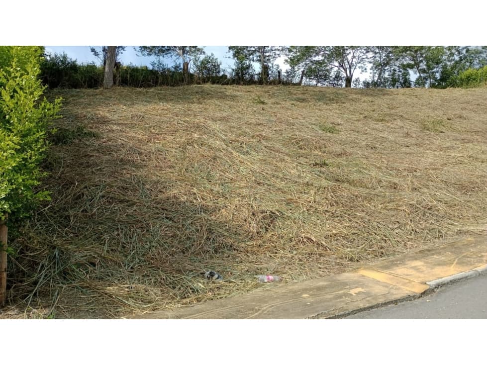 Lote en venta - vereda Los Planes - Neira - 1