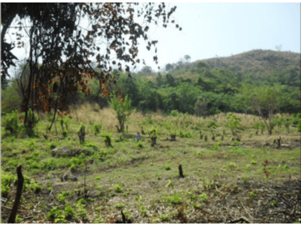 VENDO FINCA DE 97 Ha. VIA FUNDACIÓN MAGDALENA - 1