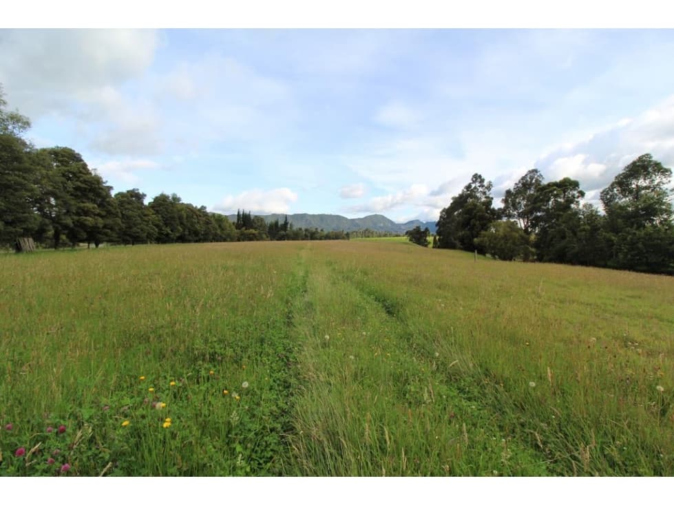 Finca/lote Tenjo: 40 fanegadas - 1