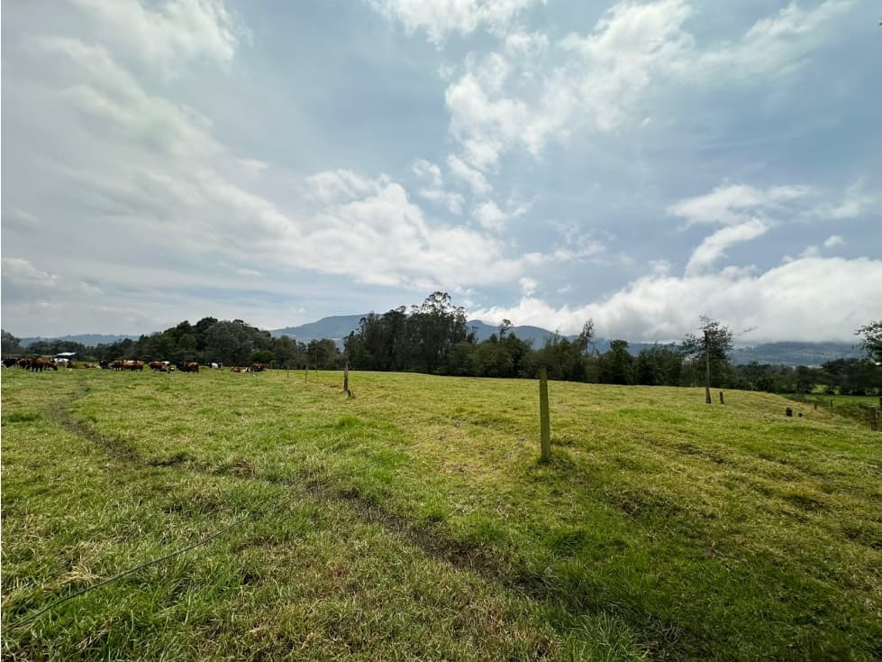 Finca Facatativá: 15 fanegadas - 1