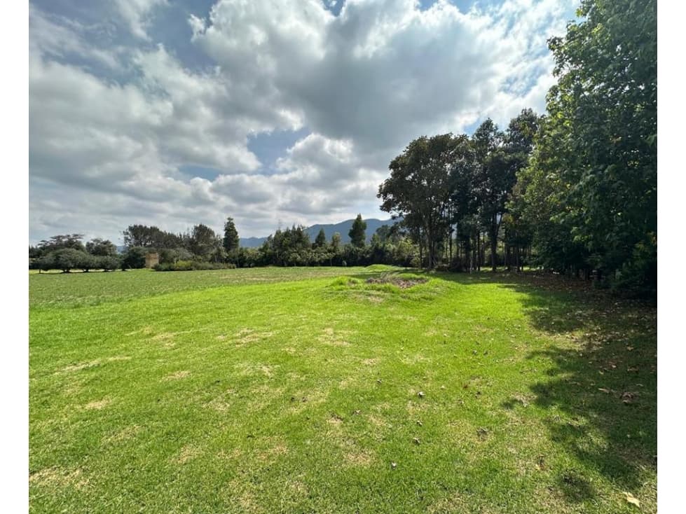 Lote en Tenjo: área de 1 hectárea - 1