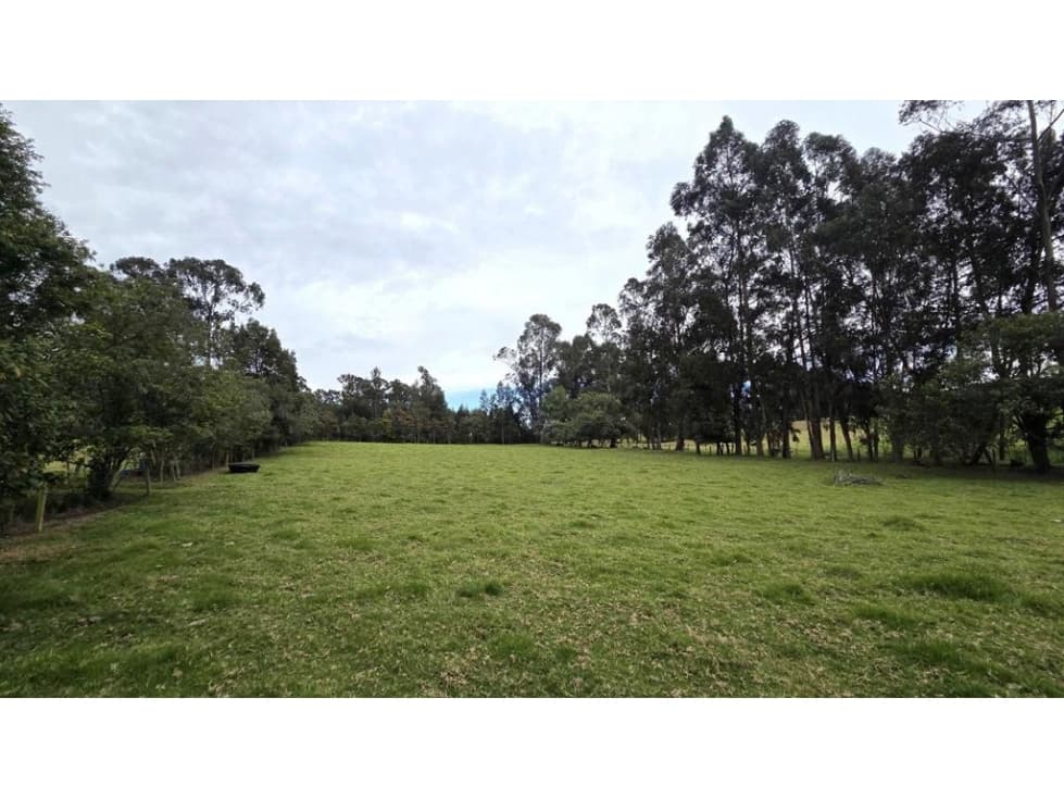 Finca o lote Tabio: 37316m2 - 1