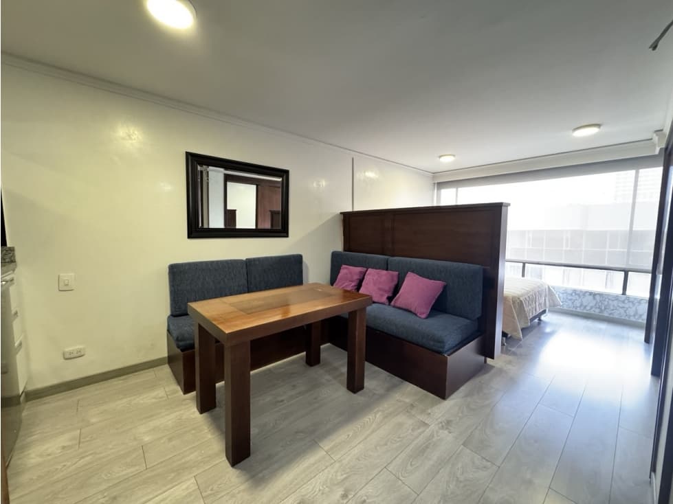 Apartamento en Arriendo Amoblado Lago 28 m2 - 1