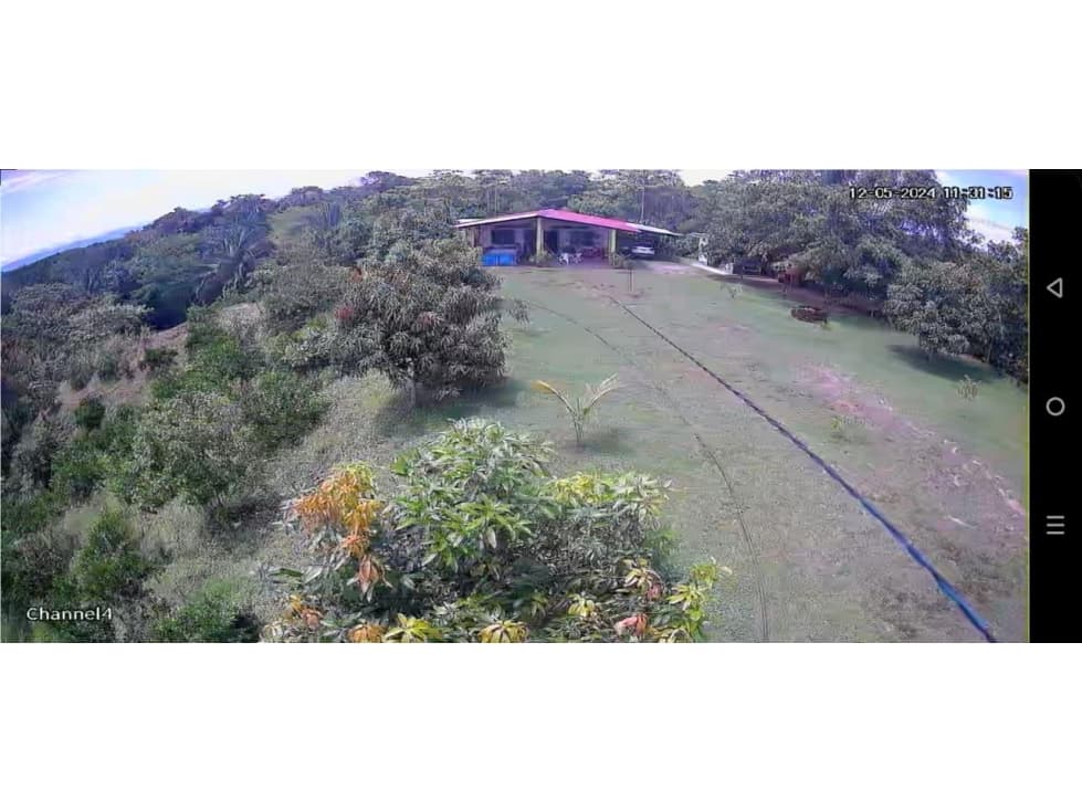 Vendo Finca en el Guamo 18 Hectareas - 1