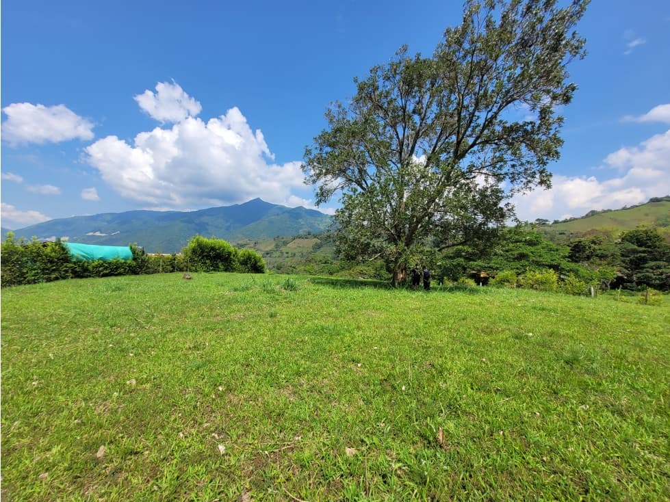 Lote en Venecia (suroeste antioqueño) - 1