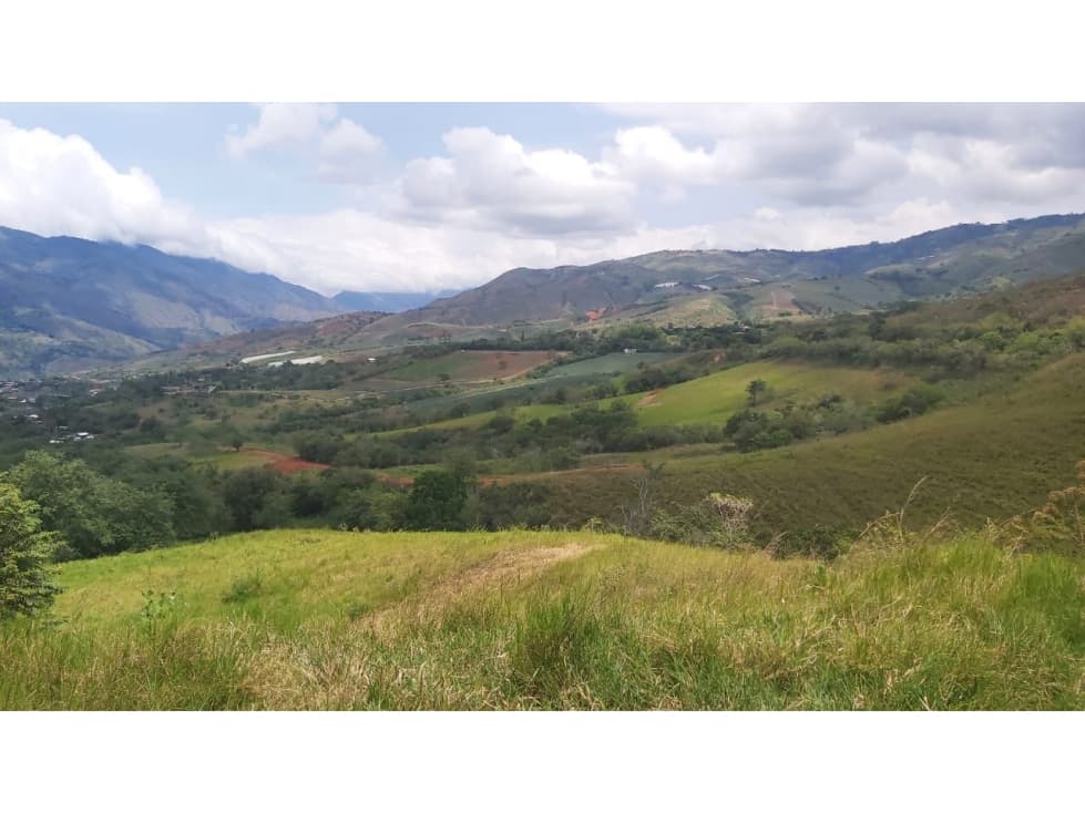 Terrenos - Lotes en Venta - Agrosostenibles - Dagua - 1