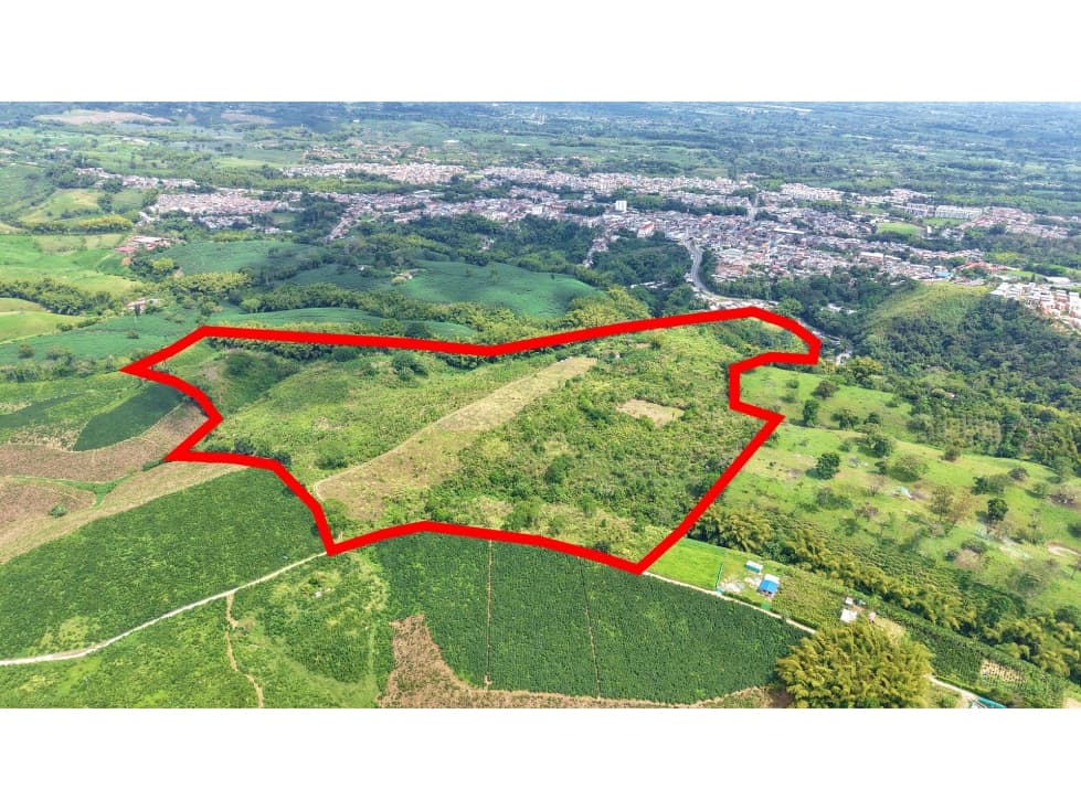 VENTA DE FINCA EN QUIMBAYA, QUINDÍO, COLOMBIA - 1