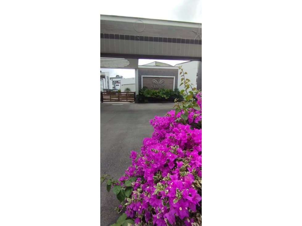 CASA EN ARRIENDO / CIBELES CONDOMINIO - FLORIDABLANCA - 1