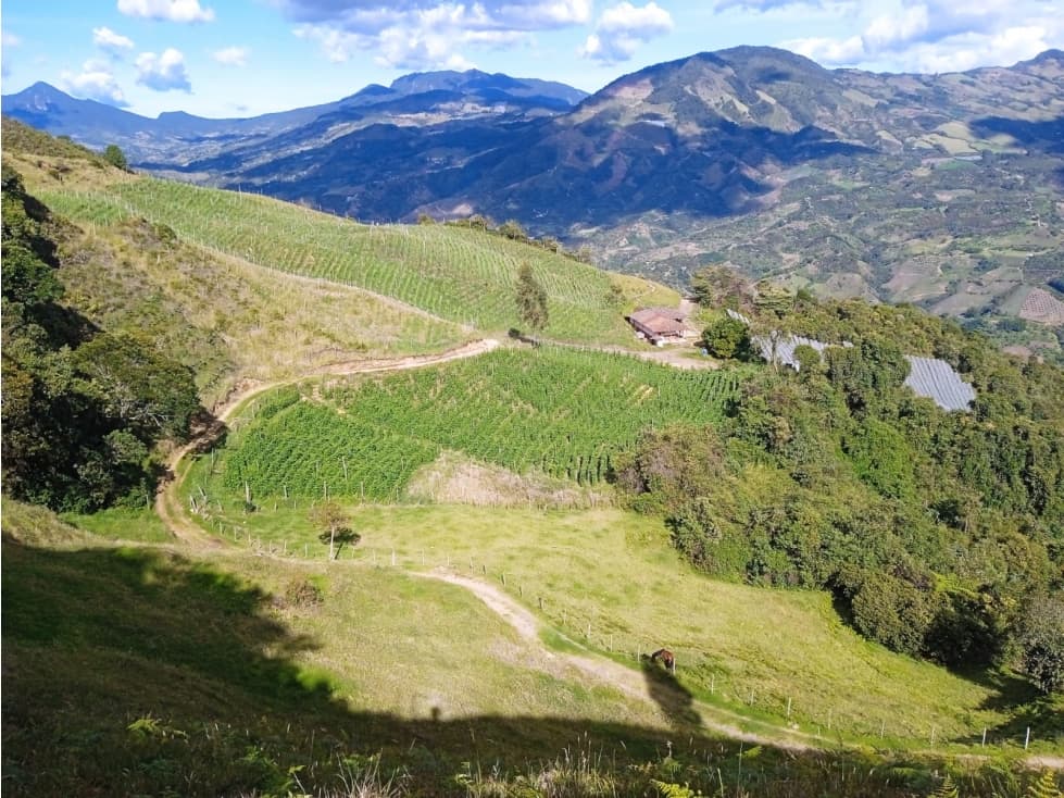 venta de finca en abejorral - 1