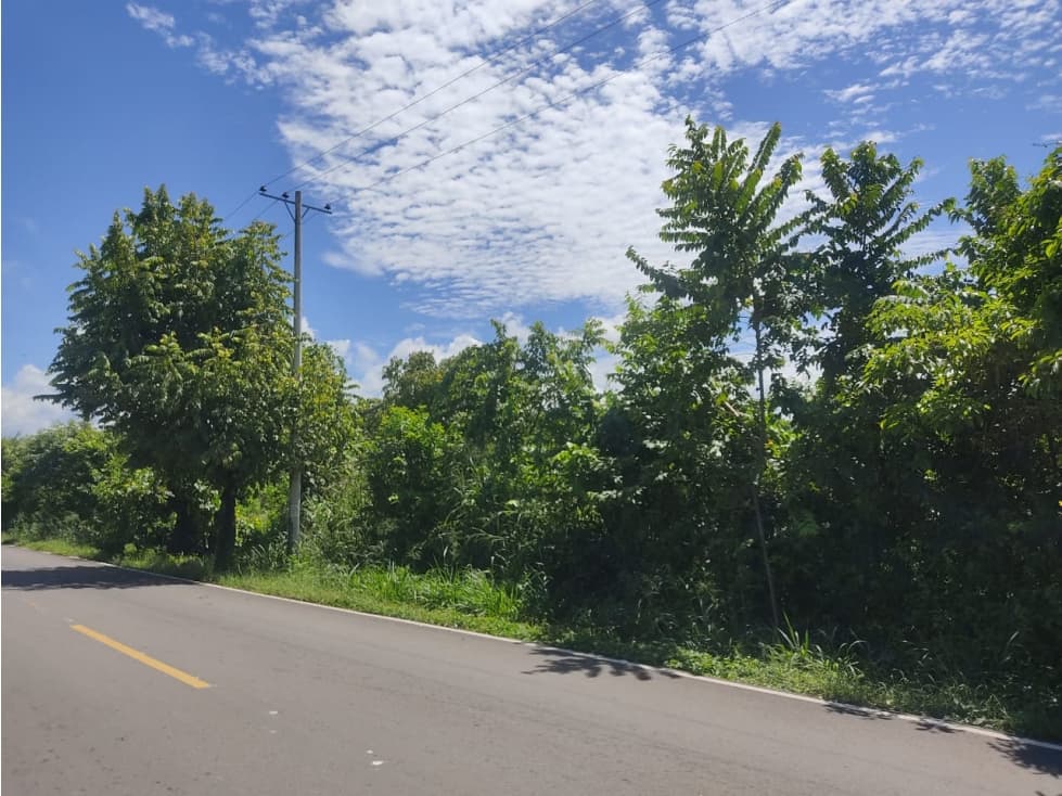 VENTA DE TERRENO CODAZZI - CESAR - 1