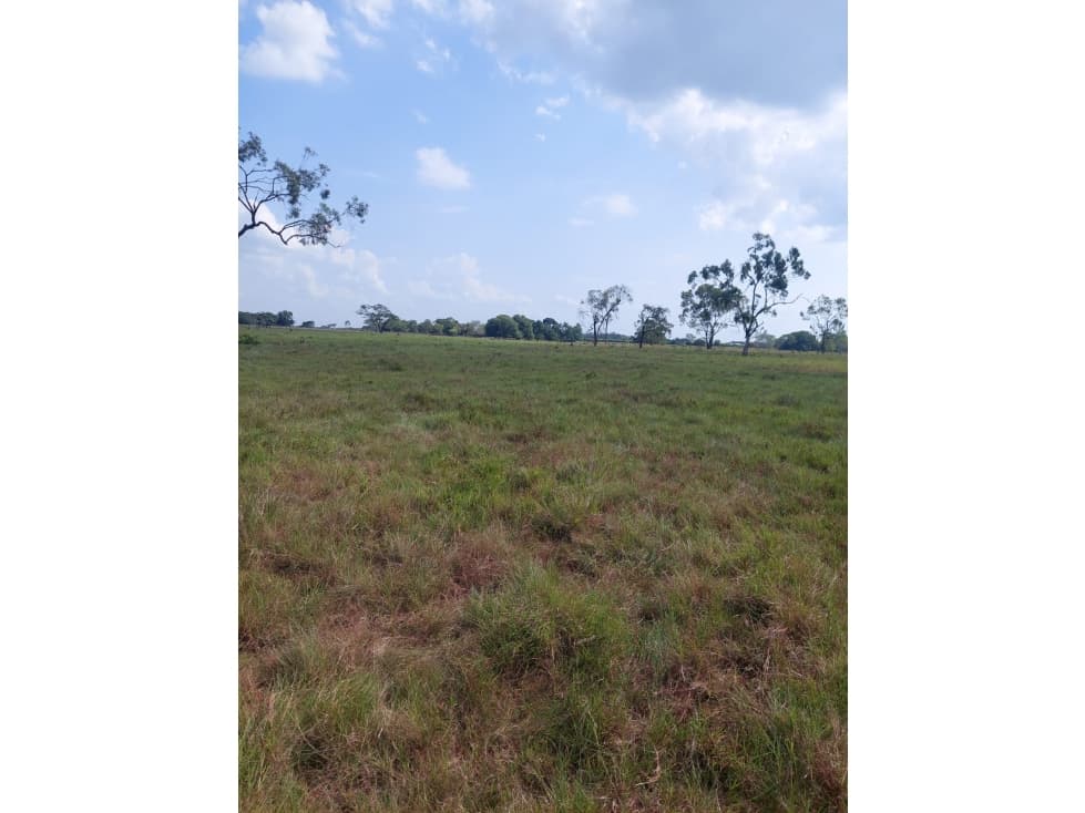 FINCA EN VENTA EN AYAPEL - CORDOBA - 1