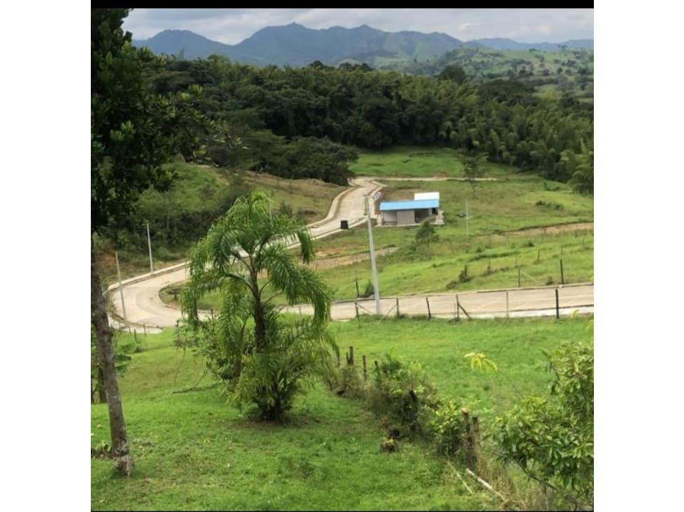 SE VENDE LOTE No. 26 LA IBERIA, CERCA A LA URBANIZACIÓN MÓNACO. - 1