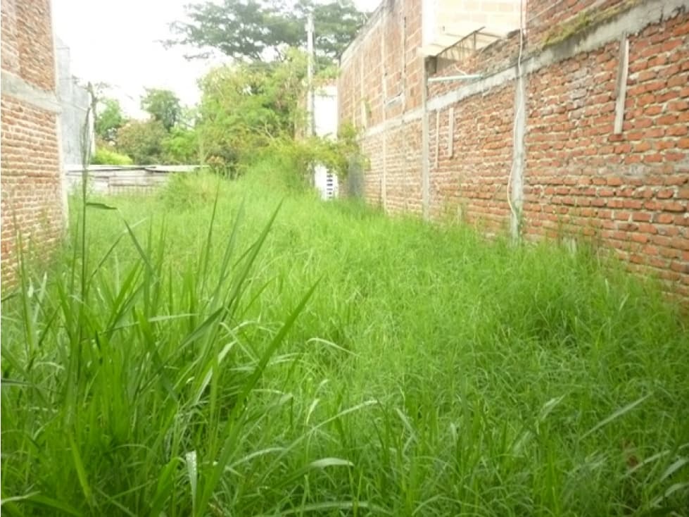 SE VENDE LOTE EN URBANIZACIÓN LA VILLA TULUÁ (VALLE) - 1