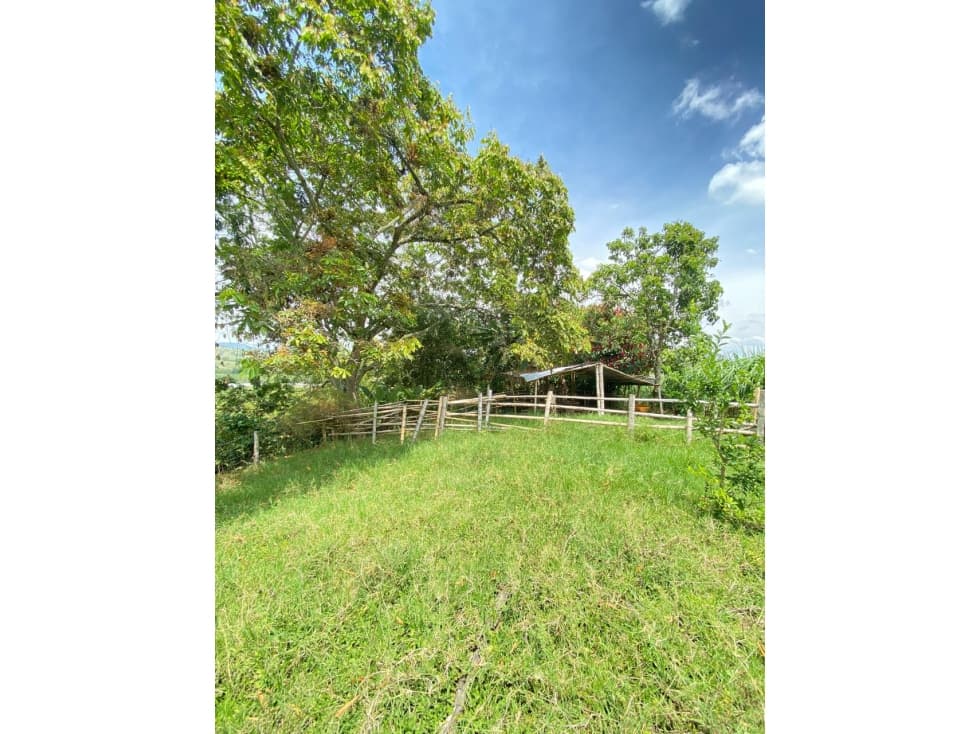VENTA DE LOTES EN PARAJE DE LA IBERIA VALLE DEL CAUCA. - 1