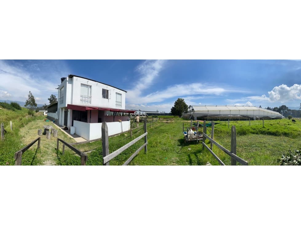 Venta finca productiva con cultivo de Rosas, Cogua - 1