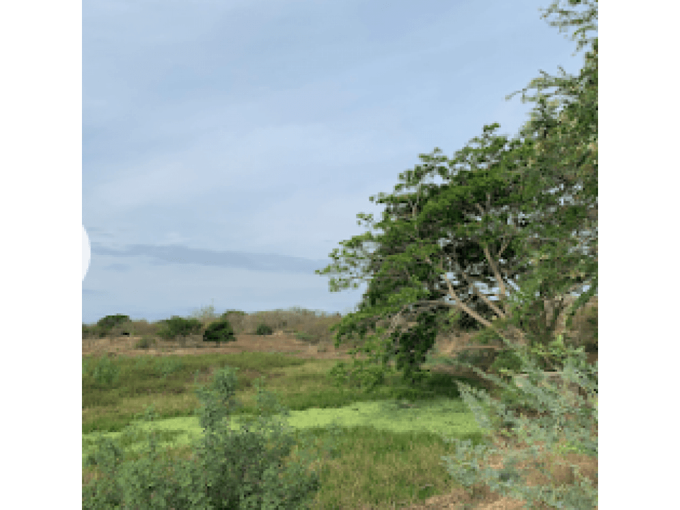 VENTA TERRENO CERCA VIA AL MAR ENTRE BARRANQUILLA Y CARTAGENA - 1