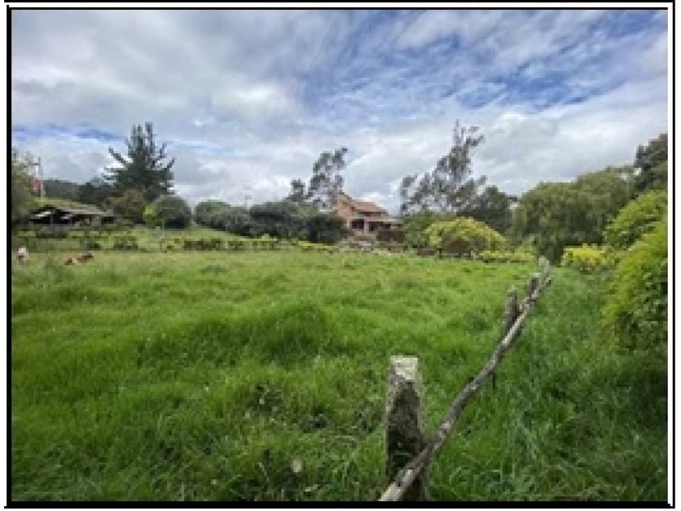 LA CALERA 6316 m2 LOTE URBANO SOBRE CARRETERA PPL - 1