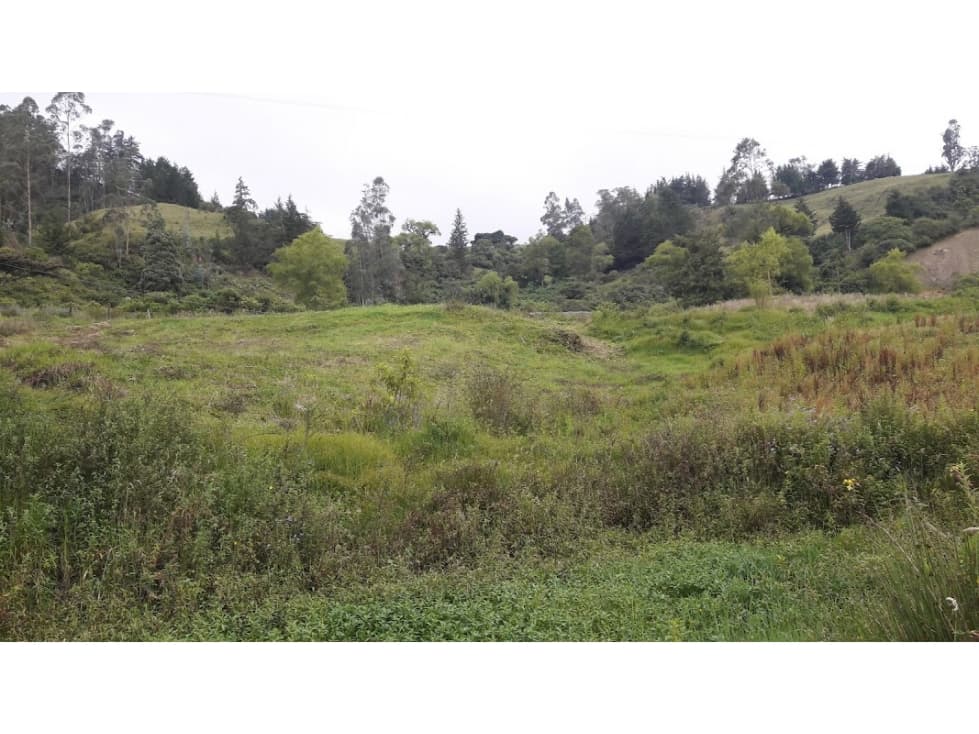 VILLA DE LEYVA 18567 m2 - 1