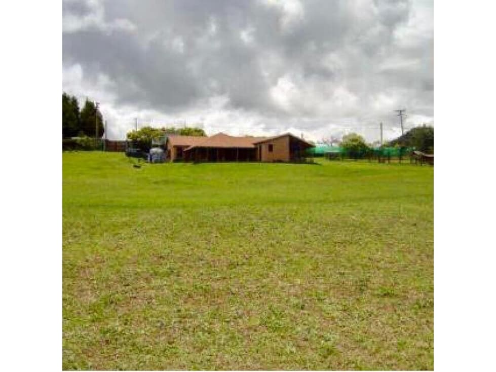VENDO LOTE AGROPECUARIO VIVIENDA VIA LA CALERA OTROS USOS - 1