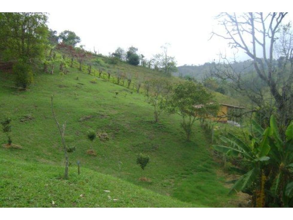 Lote en Marinilla a 5 minutos del Peñol - 1