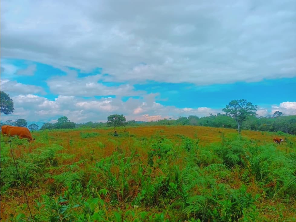 SE VENDE FINCA LOMA DE LA CRUZ - 1